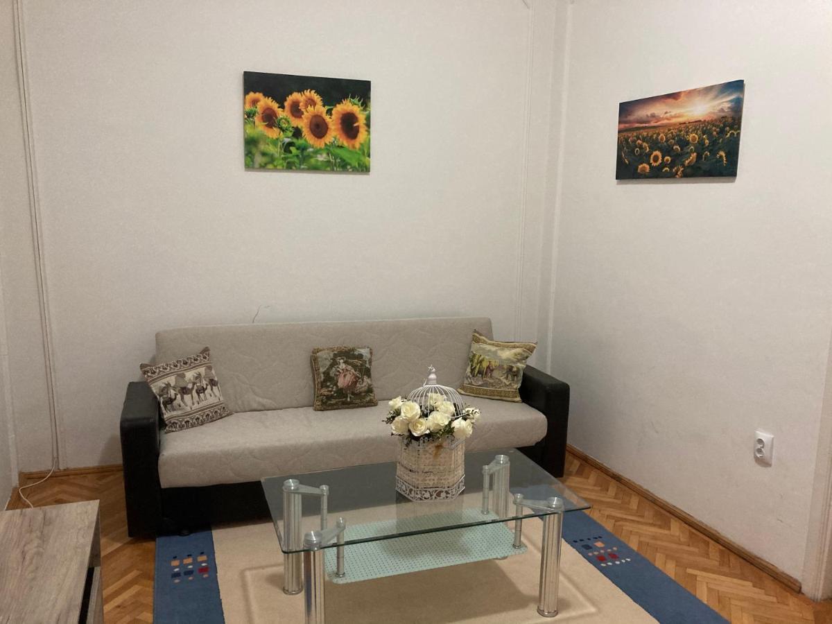 Irina Apartments Piteşti Exterior foto